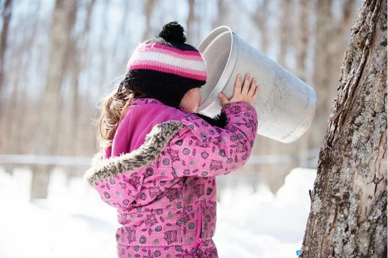 Quoi faire ce weekend en Estrie ?